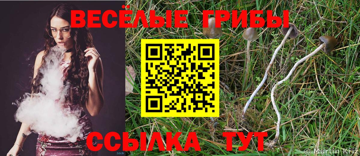 Гусиноозёрск  где купить наркоту  Вход с VPN  Псилоцибиновые грибы ЛСД 