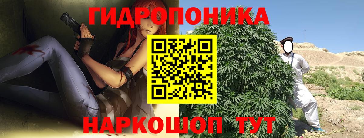Шишки марихуана планчик Гусиноозёрск